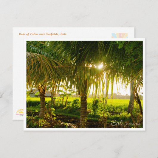 Bali Palm Trees & Ricefield Postcard シーズンポストカード (正面/裏面)