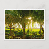 Bali Palm Trees & Ricefield Postcard シーズンポストカード (正面)