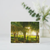 Bali Palm Trees & Ricefield Postcard シーズンポストカード (スタンド正面)