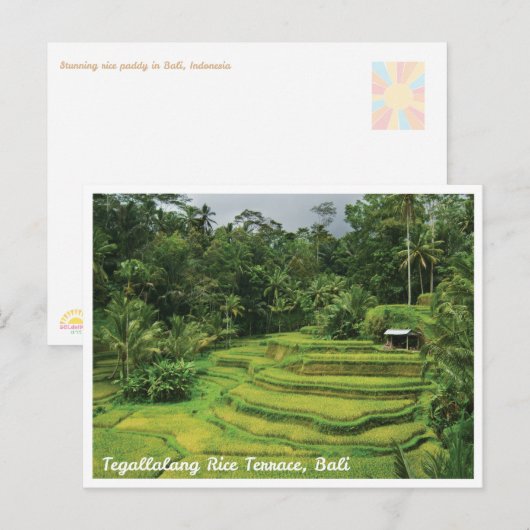 Bali Rice Terraces Scenic Travel Postcard ポストカード (正面/裏面)