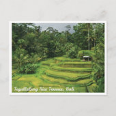 Bali Rice Terraces Scenic Travel Postcard ポストカード (正面)