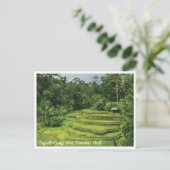 Bali Rice Terraces Scenic Travel Postcard ポストカード (スタンド正面)
