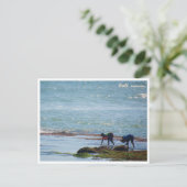 Balinese Seaweed Harvest Bali Postcard シーズンポストカード (スタンド正面)