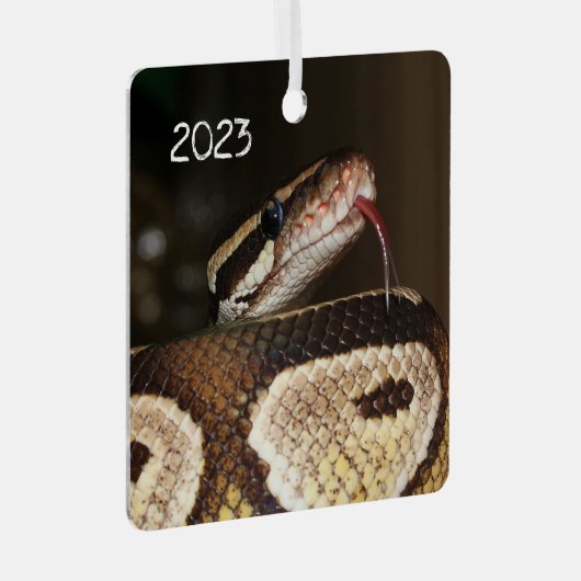 Ball Pythonヘビ メタルオーナメント (正面右)