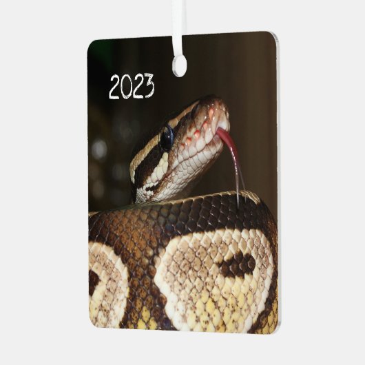 Ball Pythonヘビ メタルオーナメント (正面左)