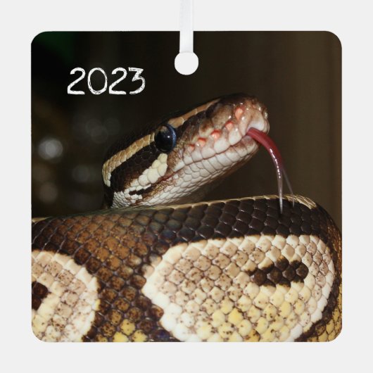 Ball Pythonヘビ メタルオーナメント (正面)