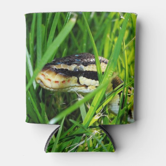 Ball Python in the Grass 缶クーラー (正面)