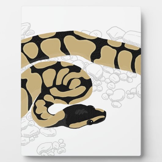 Ball Python Snake フォトプラーク (正面)