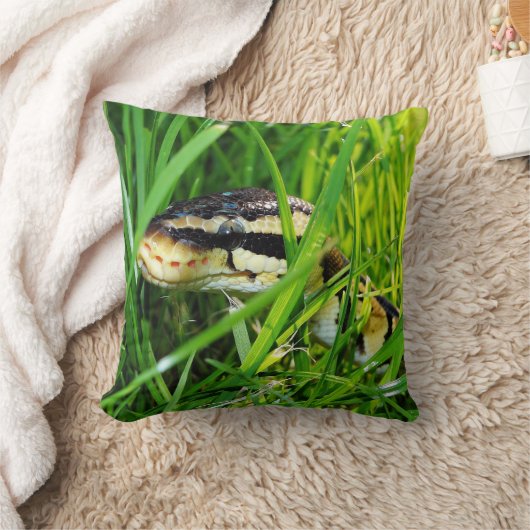 Ball Python snake in the Grass クッション (ブランケット)