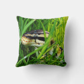 Ball Python snake in the Grass クッション (裏面)