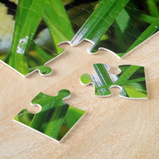 Ball Python snake in the Grass ジグソーパズル (側面)