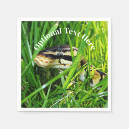 Ball Python snake in the Grass スタンダードカクテルナプキン