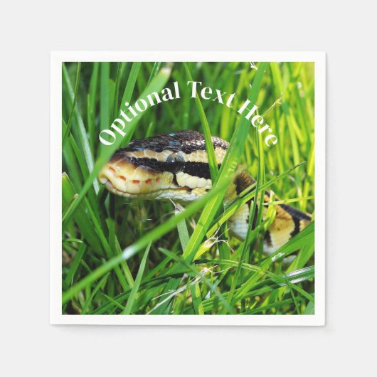 Ball Python snake in the Grass スタンダードカクテルナプキン (正面)