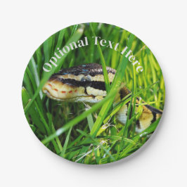 Ball Python snake in the Grass ペーパープレート