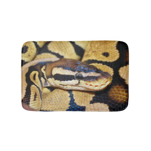 Ball Python、Yellow Belly、Ballでカール バスマット (正面)