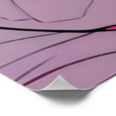 Ballad of the Star Frontiers ポスター (角)