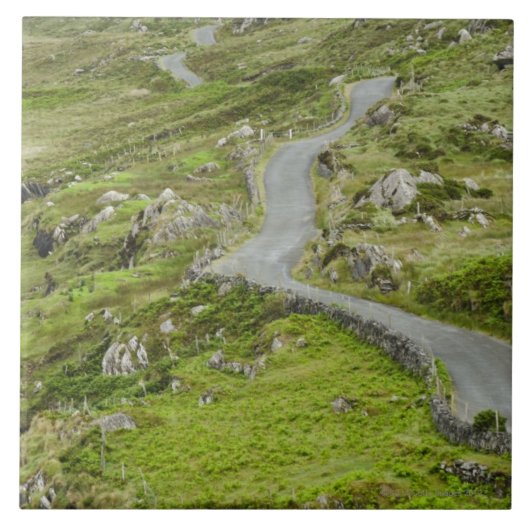 BallaghacahreenとCaherkeen.間の道 タイル (正面)