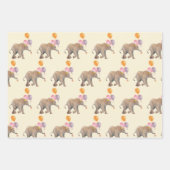 Ballon Elephant party INPAKPAPIER VEL ラッピングペーパーシート (正面)
