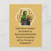 Ballyvourney (SAE 003)ポストカードのSt. Gobnait ポストカード (正面)