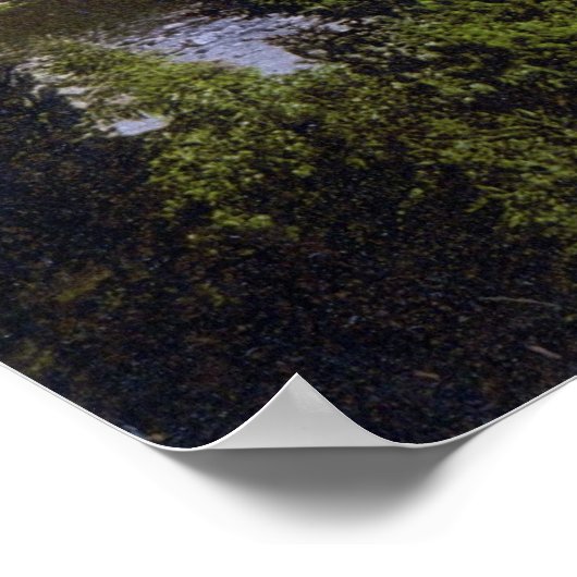 Balmoral Castle ポスター (角)