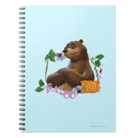 Baloo 2 ノートブック (正面)