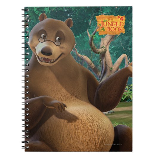 Baloo 4 ノートブック (正面)