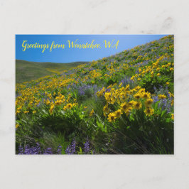 BalsamrootとLupine at Sage Hills Wenatchee, WA ポストカード