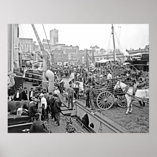 Baltimore Banana Boats ポスター (正面)