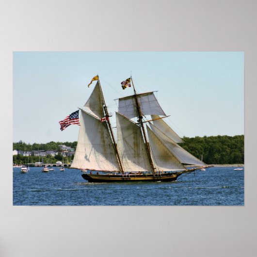 Baltimore II プライド号高層帆船ポスター ポスター (正面)