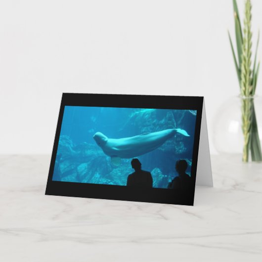 Baluga カード (正面)