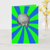 BAM! ハリネズミの挨拶状 カード (黄色い花)