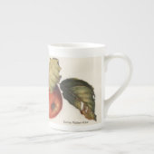 Bamberwood Appleの専門のマグ ボーンチャイナマグカップ (右)