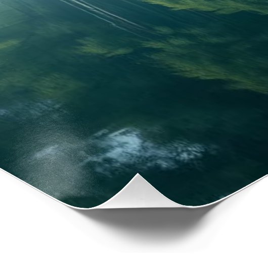 bamboo forest ポスター (コーナー)