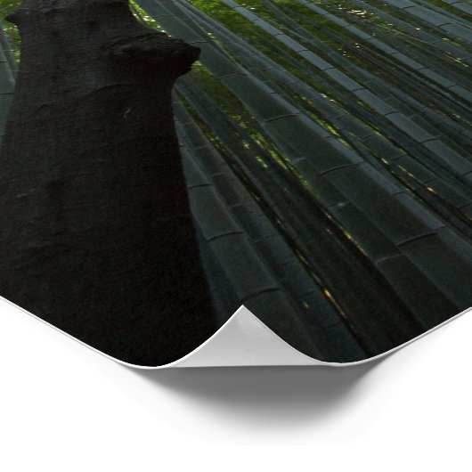 Bamboo Forest ポスター (角)