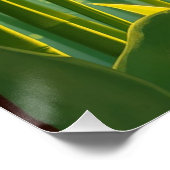 bamboo forest with red callas ポスター (コーナー)