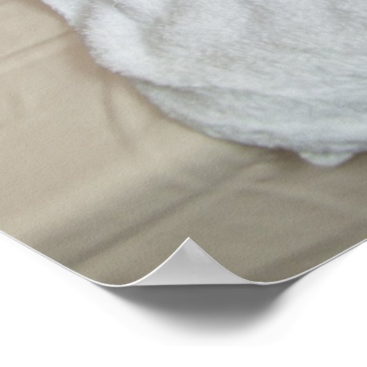 Bamboo Massage On Ribs ポスター (角)