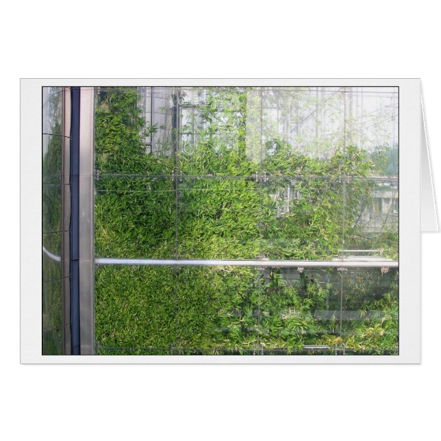 BAMBOOSカード (正面横)
