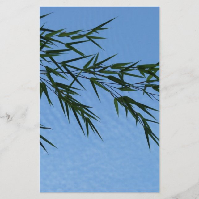 bambou sur ciel de nuages (正面)