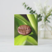 Bambus Kaffeebohne ポストカード (スタンド正面)