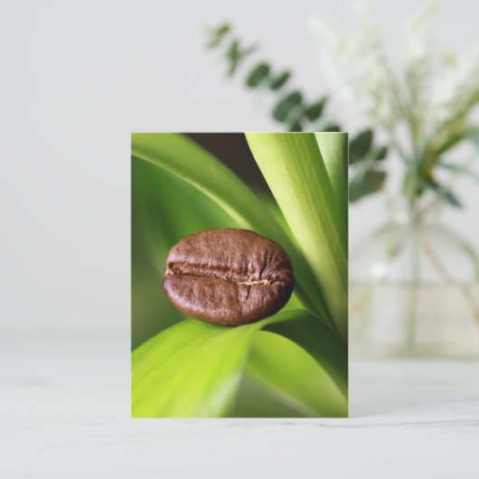 Bambus Kaffeebohne ポストカード (スタンド正面)