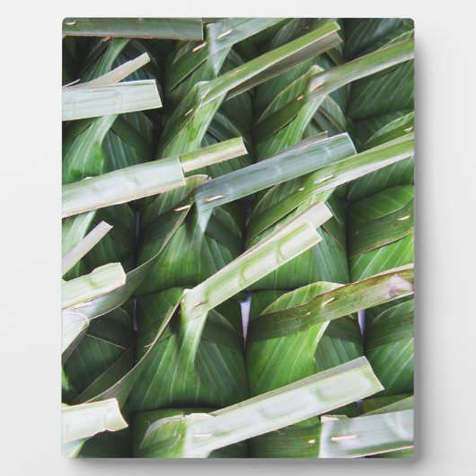 Banana 包まれた Leafパケット フォトプラーク (正面)