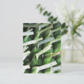 Banana 包まれた Leafパケット ポストカード (スタンド正面)