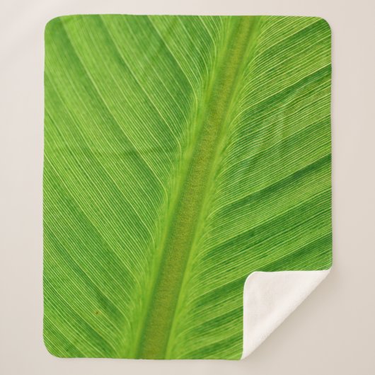 Banana leaf leaf banana fibers シェルパブランケット (正面)