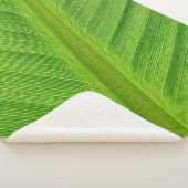 Banana leaf leaf banana fibers シェルパブランケット (3/4)