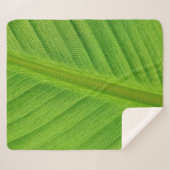 Banana leaf leaf banana fibers シェルパブランケット (正面(横))