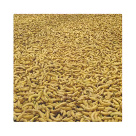 Banana Republic 16"x16"メタルアート メタルプリント