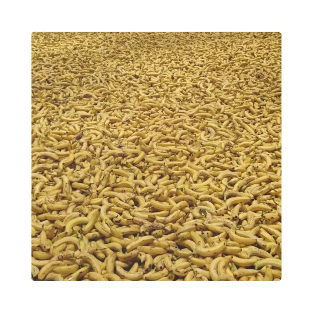 Banana Republic 16"x16"メタルアート メタルプリント (正面)