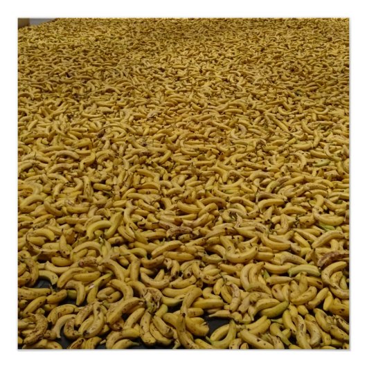 Banana Republic 20" x 20"、ポスター紙、セミグロス ポスター (正面)