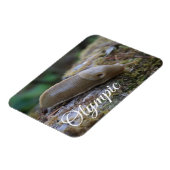 Banana Slagオンモッシー・ログ・オリンピック国立公園 マグネット (左側)