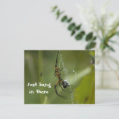 Banana Spider Webそこつるだけ ポストカード (スタンド正面)